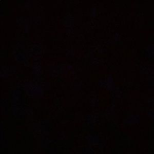 Meet your Posher, Selma